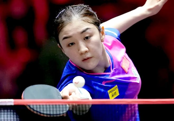 梅里诺自2 梅里诺自2